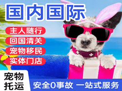 天津空运代理国际宠物托运 【国